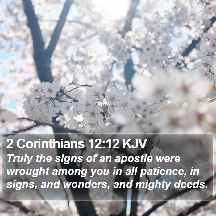2 Corinthians 12:12 KJV - Truly the signs of an apostle were wrought among - Bible Verse Picture