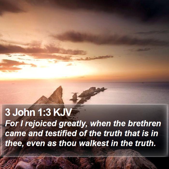 3 John 1:3 KJV - For I rejoiced greatly, when the brethren came - Bible Verse Picture