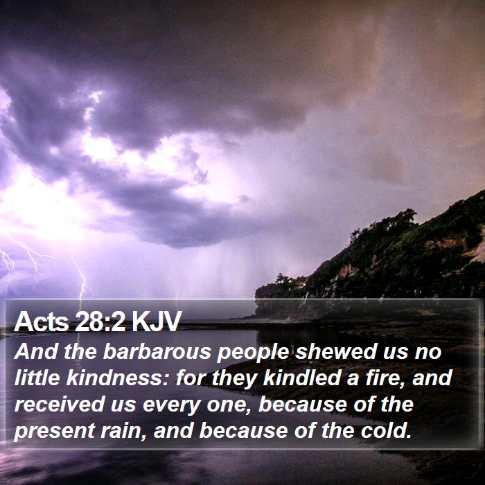 Acts 28:2 KJV - And the barbarous people shewed us no little - Bible Verse Picture