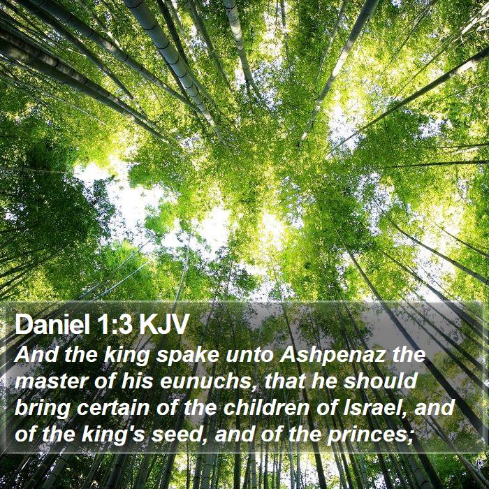 Daniel 1:3 KJV - And the king spake unto Ashpenaz the master of - Bible Verse Picture