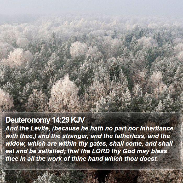 Deuteronomy 14:29 KJV - And the Levite, (because he hath no part nor - Bible Verse Picture