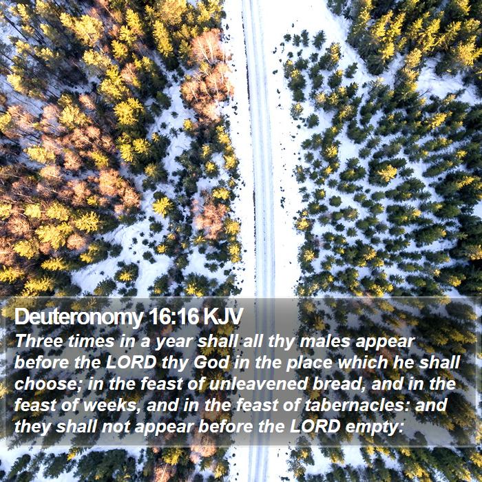 Deuteronomy 16:16 KJV - Three times in a year shall all thy males appear - Bible Verse Picture