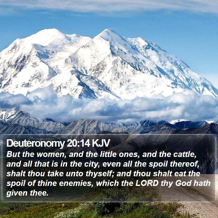 Deuteronomy 20:14 KJV - But the women, and the little ones, and the - Bible Verse Picture