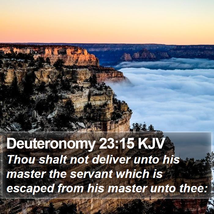 Deuteronomy 23:15 KJV - Thou shalt not deliver unto his master the - Bible Verse Picture