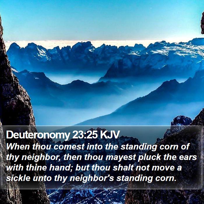 Deuteronomy 23:25 KJV - When thou comest into the standing corn of thy - Bible Verse Picture