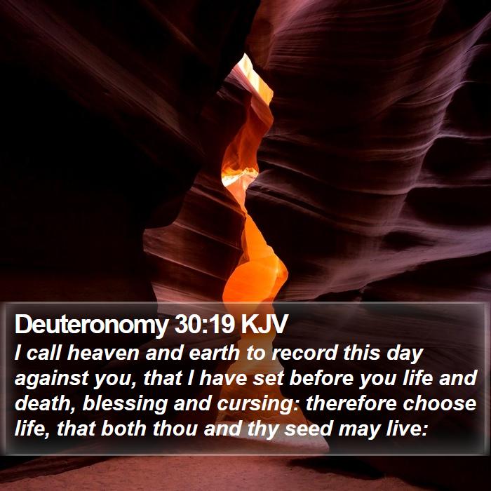 Deuteronomy 30:19 KJV - I call heaven and earth to record this day - Bible Verse Picture