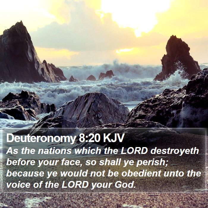 Deuteronomy 8:20 KJV - As the nations which the LORD destroyeth before - Bible Verse Picture
