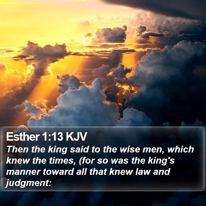 Esther 1:13 KJV - Then the king said to the wise men, which knew - Bible Verse Picture