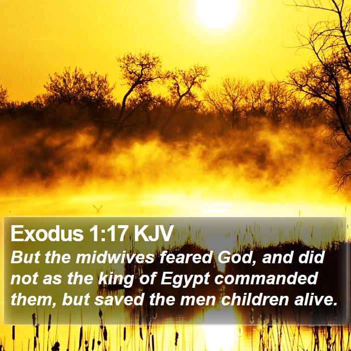 Exodus 1:17 KJV - But the midwives feared God, and did not as the - Bible Verse Picture