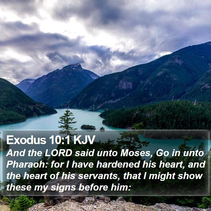 Exodus 10:1 KJV - And the LORD said unto Moses, Go in unto Pharaoh: - Bible Verse Picture