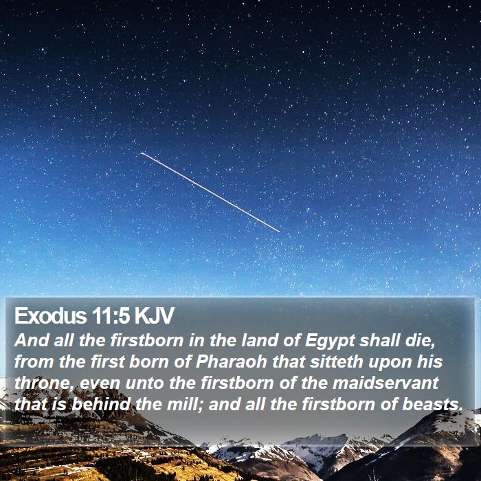Exodus 11:5 KJV - And all the firstborn in the land of Egypt shall - Bible Verse Picture