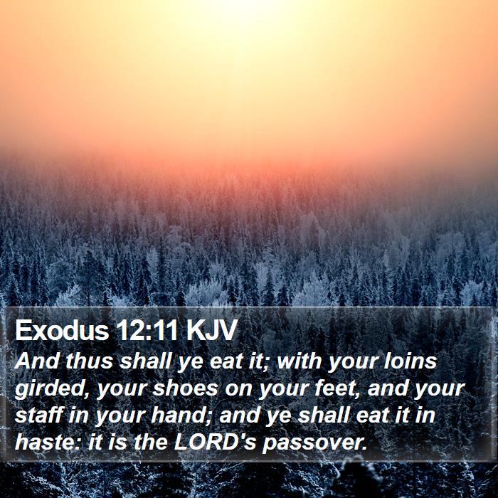 Exodus 12:11 KJV - And thus shall ye eat it; with your loins girded, - Bible Verse Picture