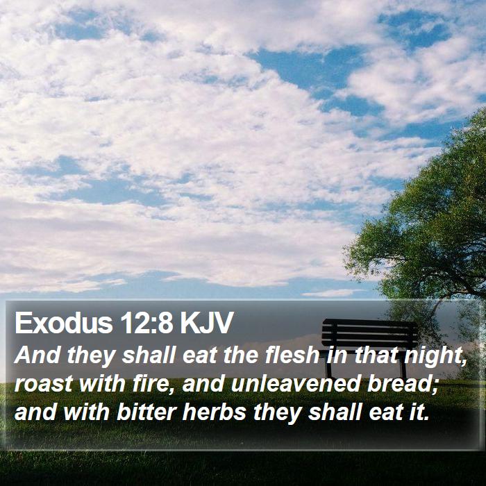 Exodus 12:8 KJV - And they shall eat the flesh in that night, roast - Bible Verse Picture