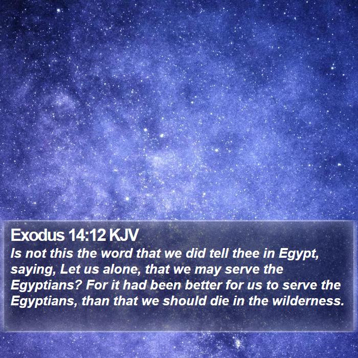Exodus 14:12 KJV - Is not this the word that we did tell thee in - Bible Verse Picture