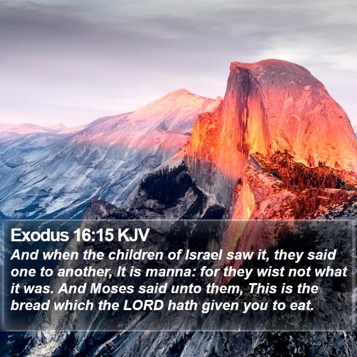Exodus 1615 Kjv And When The Children Of Israel Saw It They Said