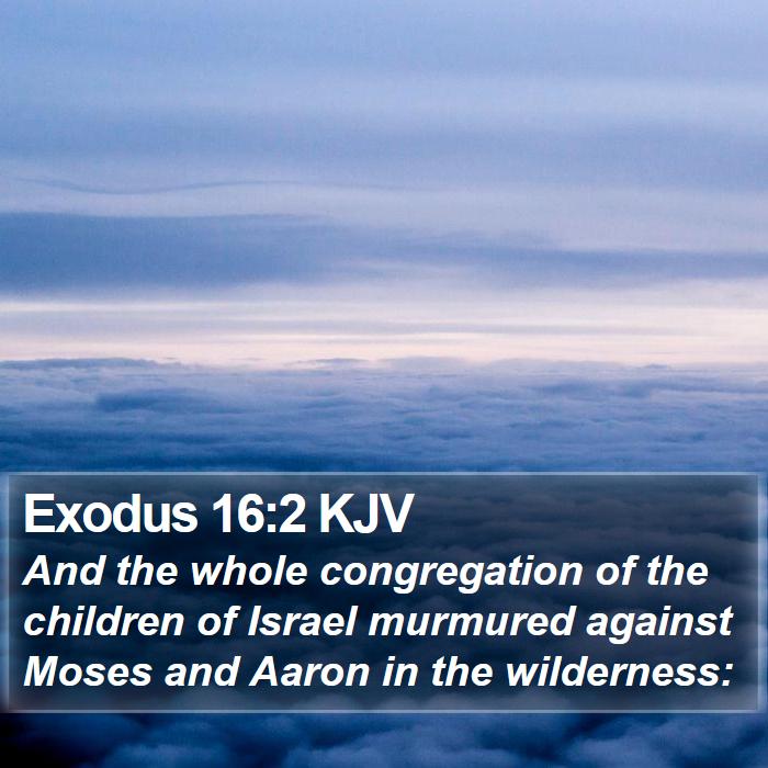 Exodus 16:2 KJV - And the whole congregation of the children of - Bible Verse Picture