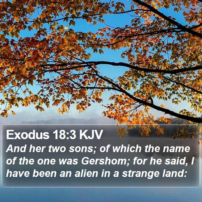 Exodus 18:3 KJV - And her two sons; of which the name of the one - Bible Verse Picture