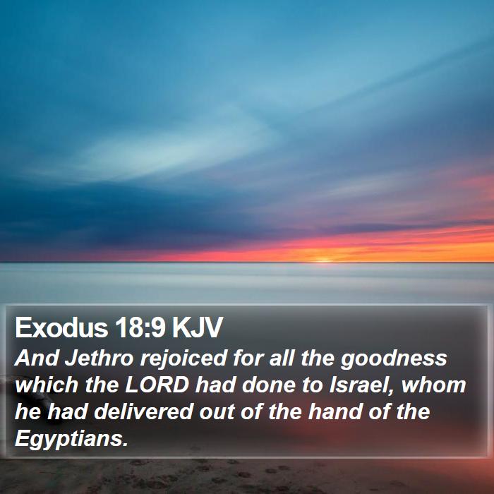 Exodus 18:9 KJV - And Jethro rejoiced for all the goodness which - Bible Verse Picture