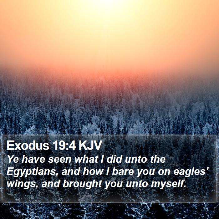 Exodus 19:4 KJV - Ye have seen what I did unto the Egyptians, and - Bible Verse Picture