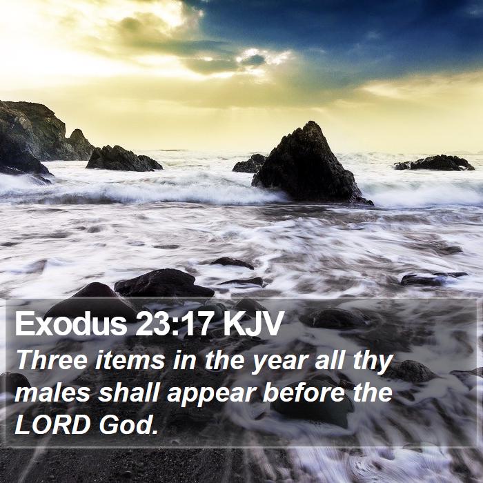 Exodus 23:17 KJV - Three items in the year all thy males shall - Bible Verse Picture