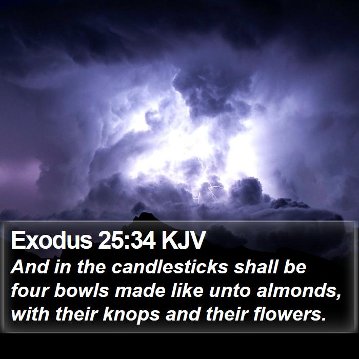 Exodus 25:34 KJV - And in the candlesticks shall be four bowls made - Bible Verse Picture