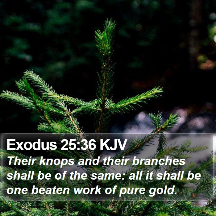 Exodus 25:36 KJV - Their knops and their branches shall be of the - Bible Verse Picture