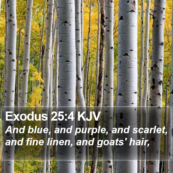 Exodus 25:4 KJV - And blue, and purple, and scarlet, and fine - Bible Verse Picture