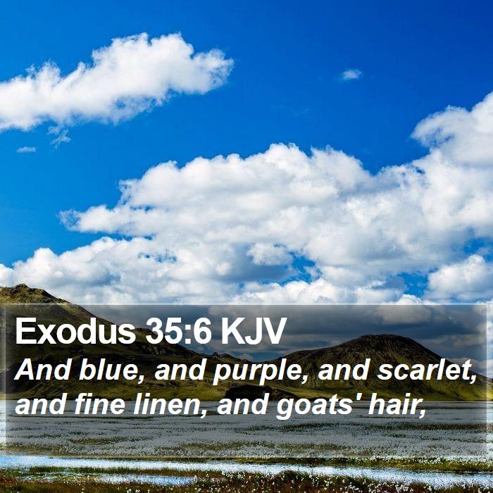 Exodus 35:6 KJV - And blue, and purple, and scarlet, and fine - Bible Verse Picture