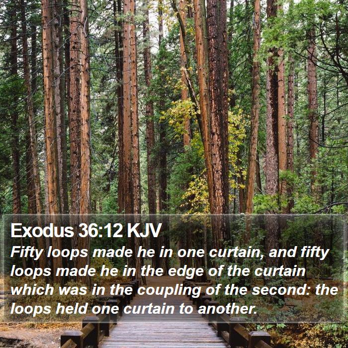 Exodus 36:12 KJV - Fifty loops made he in one curtain, and fifty - Bible Verse Picture