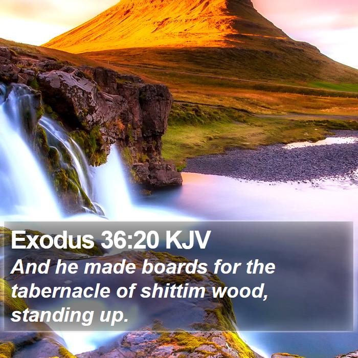 Exodus 36:20 KJV - And he made boards for the tabernacle of shittim - Bible Verse Picture