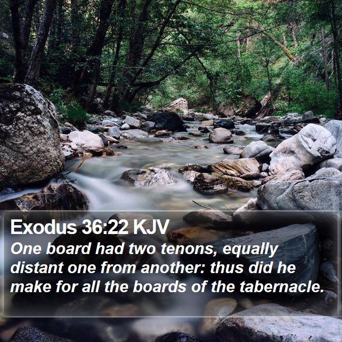 Exodus 36:22 KJV - One board had two tenons, equally distant one - Bible Verse Picture