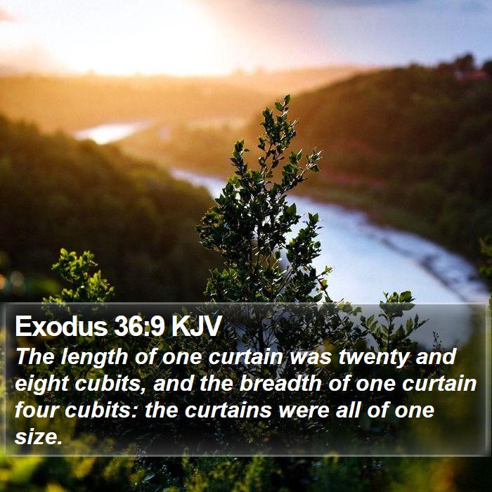 Exodus 36:9 KJV - The length of one curtain was twenty and eight - Bible Verse Picture