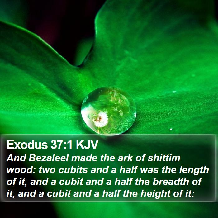 Exodus 37:1 KJV - And Bezaleel made the ark of shittim wood: two - Bible Verse Picture