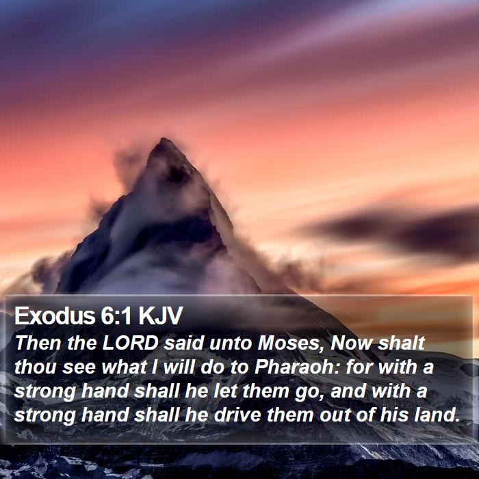 Exodus 6:1 KJV - Then the LORD said unto Moses, Now shalt thou see - Bible Verse Picture