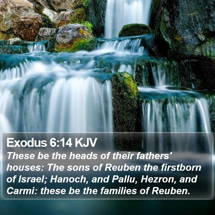 Exodus 6:14 KJV - These be the heads of their fathers' houses: The - Bible Verse Picture