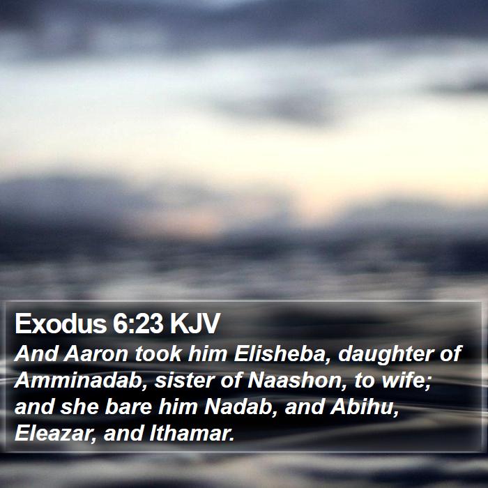 Exodus 6:23 KJV - And Aaron took him Elisheba, daughter of - Bible Verse Picture