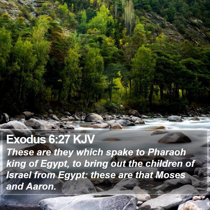 Exodus 6:27 KJV - These are they which spake to Pharaoh king of - Bible Verse Picture
