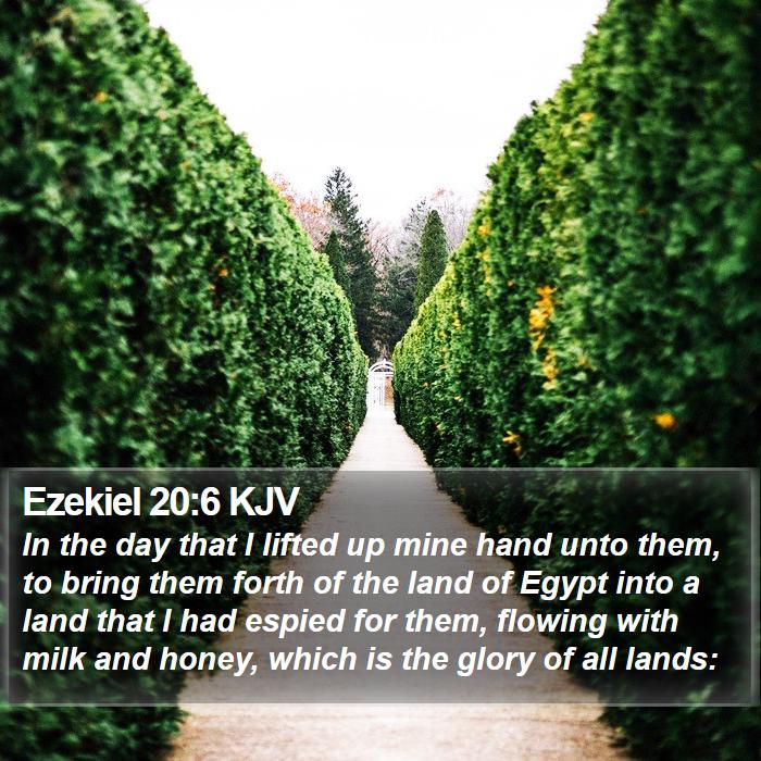 Ezekiel 20:6 KJV - In the day that I lifted up mine hand unto them, - Bible Verse Picture