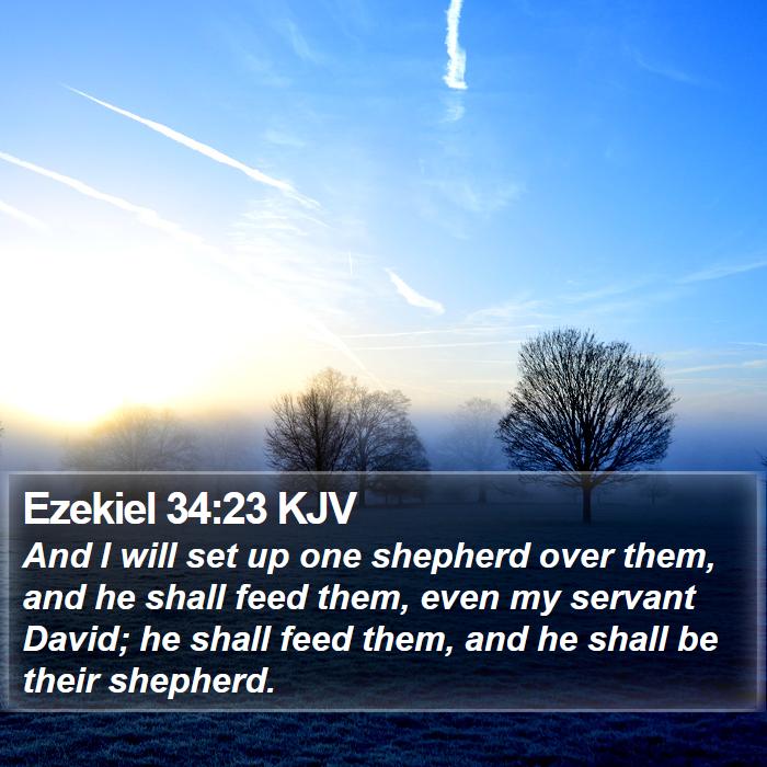 Ezekiel 34:23 KJV - And I will set up one shepherd over them, and he - Bible Verse Picture