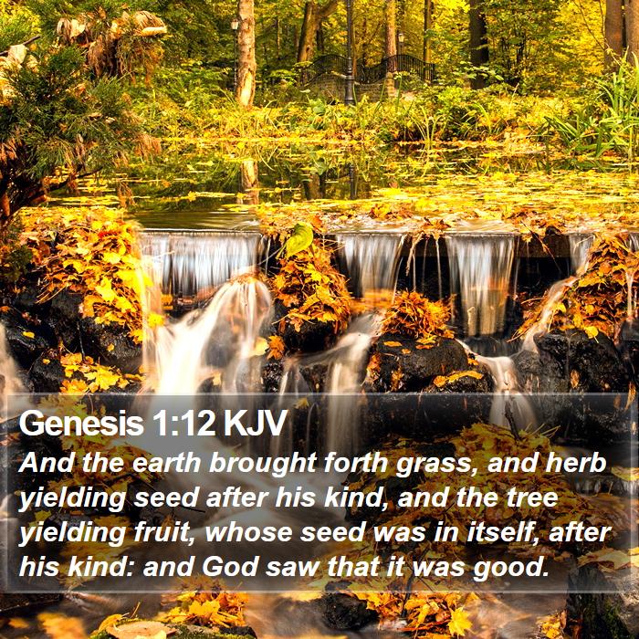 Genesis 1:12 KJV - And the earth brought forth grass, and herb - Bible Verse Picture