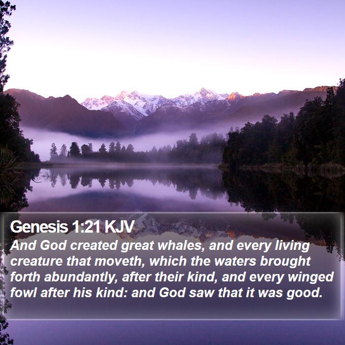 Genesis 1:21 KJV - And God created great whales, and every living - Bible Verse Picture