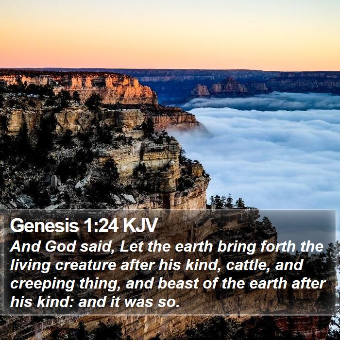 Genesis 1:24 KJV - And God said, Let the earth bring forth the - Bible Verse Picture