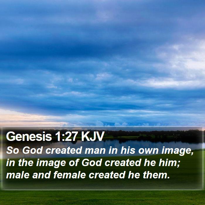 Genesis 1:27 KJV - So God created man in his own image, in the image - Bible Verse Picture