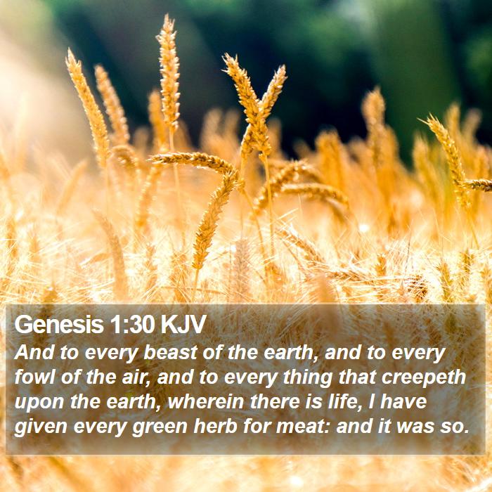 Genesis 1:30 KJV - And to every beast of the earth, and to every - Bible Verse Picture