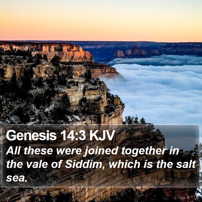 Genesis 14:3 KJV - All these were joined together in the vale of - Bible Verse Picture