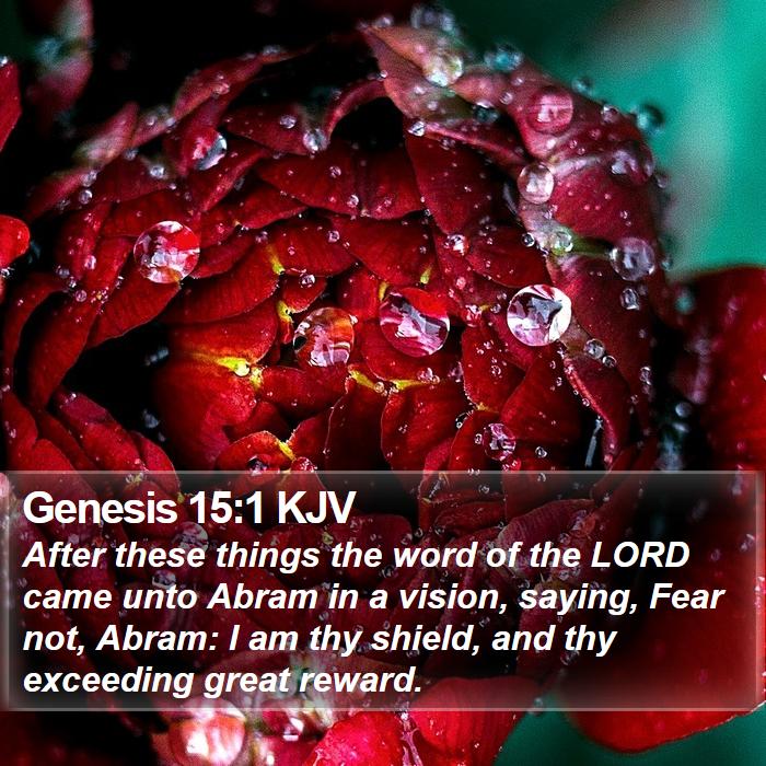 Genesis 15:1 KJV - After these things the word of the LORD came unto - Bible Verse Picture