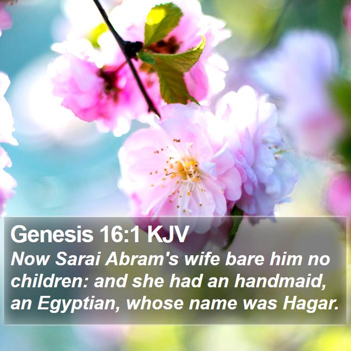 Genesis 16:1 KJV - Now Sarai Abram's wife bare him no children: and - Bible Verse Picture