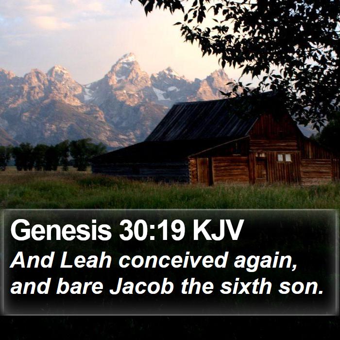 Genesis 30:19 KJV - And Leah conceived again, and bare Jacob the - Bible Verse Picture