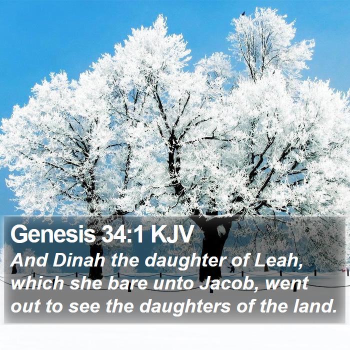 Genesis 34:1 KJV - And Dinah the daughter of Leah, which she bare - Bible Verse Picture