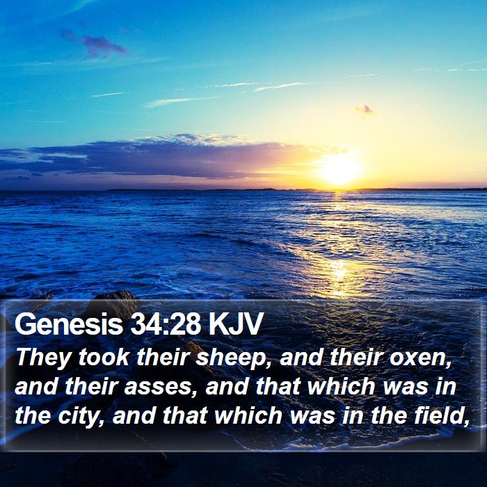 Genesis 34:28 KJV - They took their sheep, and their oxen, and their - Bible Verse Picture